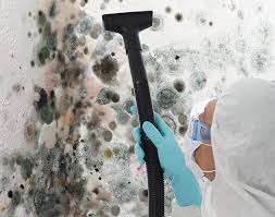 Reliable Miami, FL Mold Inspection Solutions